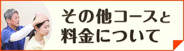 その他のメニューの料金はこちら